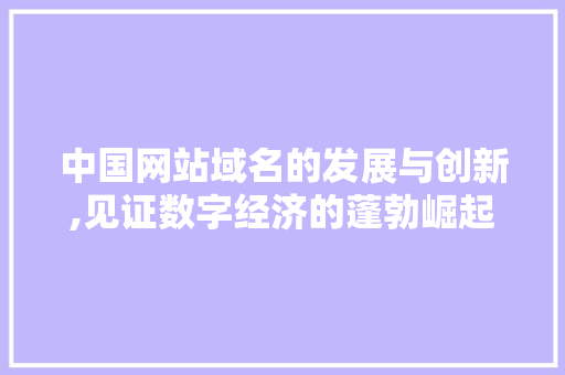中国网站域名的发展与创新,见证数字经济的蓬勃崛起