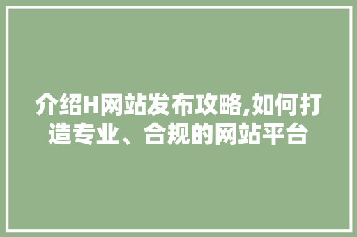 介绍H网站发布攻略,如何打造专业、合规的网站平台