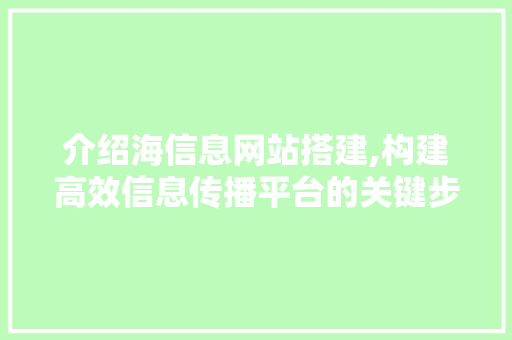 介绍海信息网站搭建,构建高效信息传播平台的关键步骤