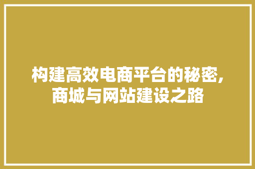 构建高效电商平台的秘密,商城与网站建设之路