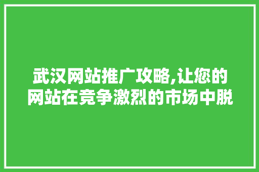 武汉网站推广攻略,让您的网站在竞争激烈的市场中脱颖而出