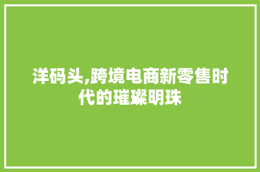 洋码头,跨境电商新零售时代的璀璨明珠
