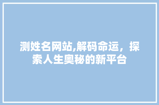 测姓名网站,解码命运，探索人生奥秘的新平台