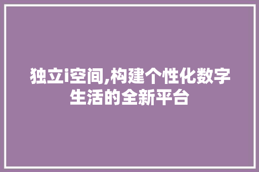 独立i空间,构建个性化数字生活的全新平台