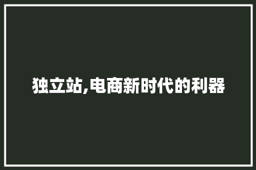 独立站,电商新时代的利器