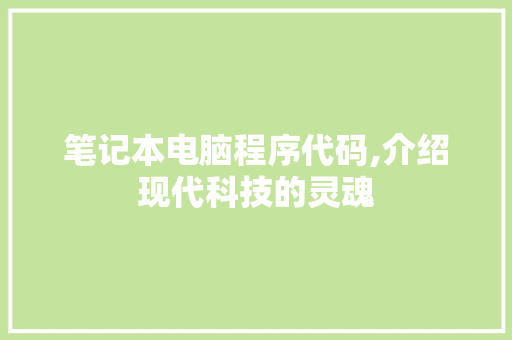 笔记本电脑程序代码,介绍现代科技的灵魂