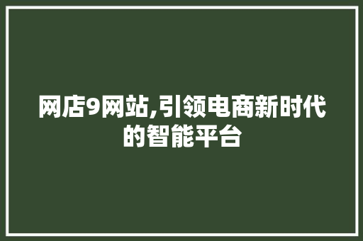 网店9网站,引领电商新时代的智能平台