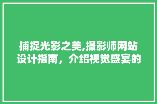 捕捉光影之美,摄影师网站设计指南，介绍视觉盛宴的秘钥