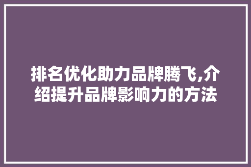 排名优化助力品牌腾飞,介绍提升品牌影响力的方法