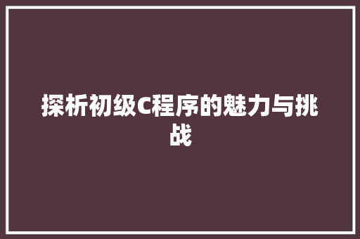 探析初级C程序的魅力与挑战