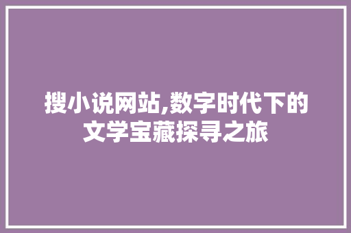 搜小说网站,数字时代下的文学宝藏探寻之旅