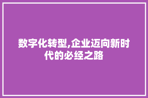 数字化转型,企业迈向新时代的必经之路