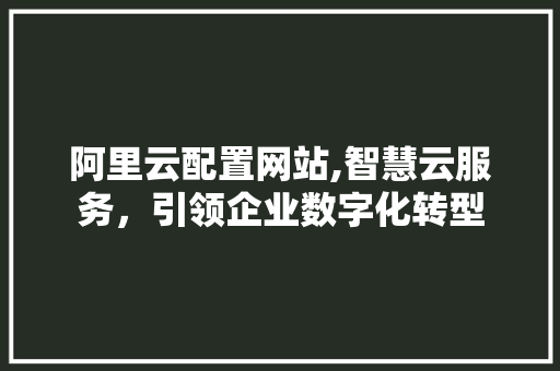 阿里云配置网站,智慧云服务，引领企业数字化转型