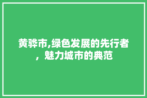 黄骅市,绿色发展的先行者，魅力城市的典范