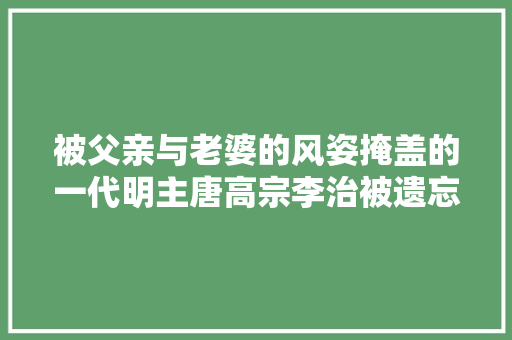 被父亲与老婆的风姿掩盖的一代明主唐高宗李治被遗忘的永徽之治