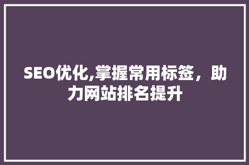 SEO优化,掌握常用标签，助力网站排名提升