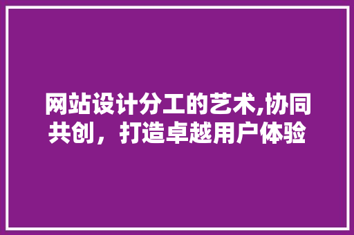 网站设计分工的艺术,协同共创，打造卓越用户体验