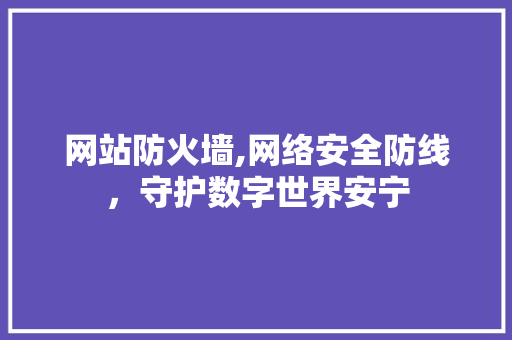 网站防火墙,网络安全防线，守护数字世界安宁