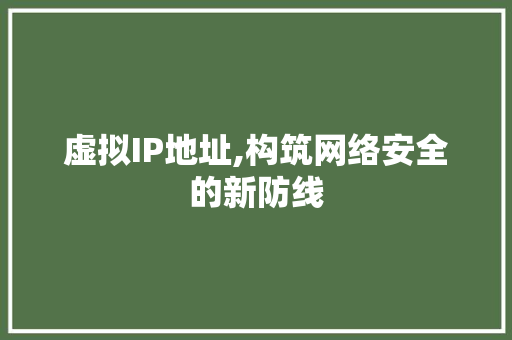 虚拟IP地址,构筑网络安全的新防线