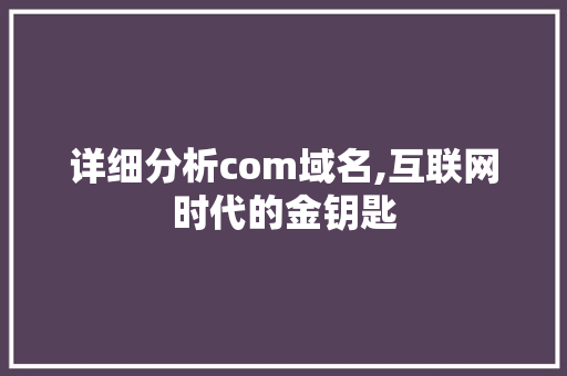 详细分析com域名,互联网时代的金钥匙