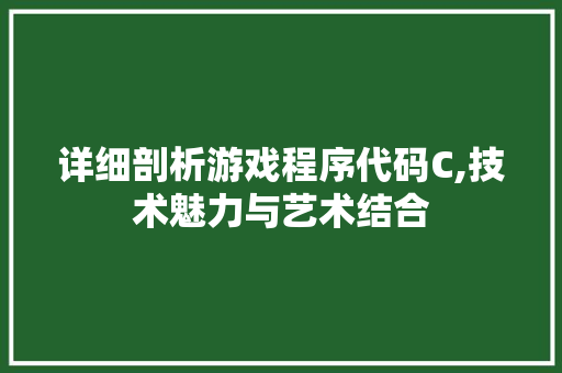 详细剖析游戏程序代码C,技术魅力与艺术结合