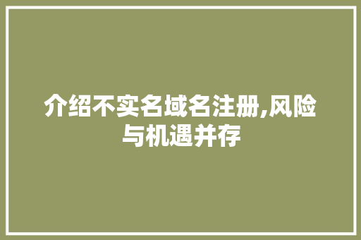介绍不实名域名注册,风险与机遇并存