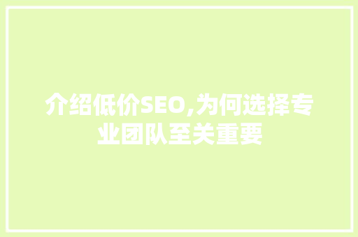 介绍低价SEO,为何选择专业团队至关重要