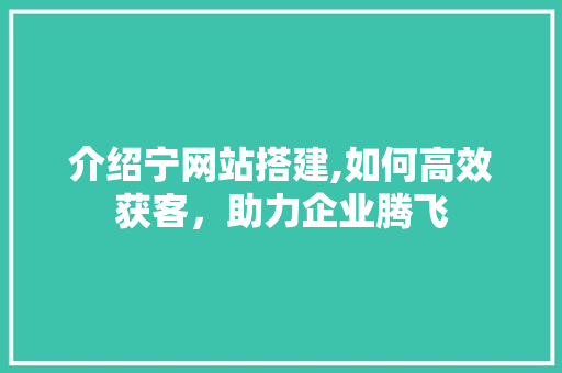 介绍宁网站搭建,如何高效获客，助力企业腾飞