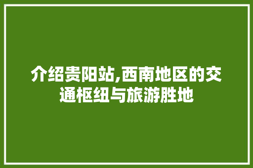 介绍贵阳站,西南地区的交通枢纽与旅游胜地