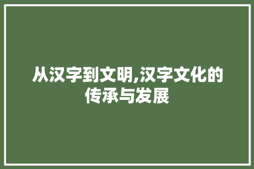 从汉字到文明,汉字文化的传承与发展