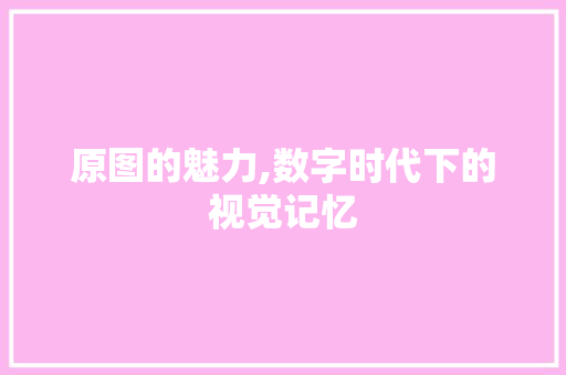 原图的魅力,数字时代下的视觉记忆