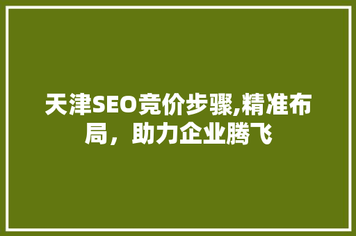 天津SEO竞价步骤,精准布局，助力企业腾飞