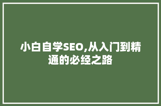 小白自学SEO,从入门到精通的必经之路
