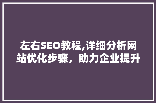左右SEO教程,详细分析网站优化步骤，助力企业提升在线竞争力