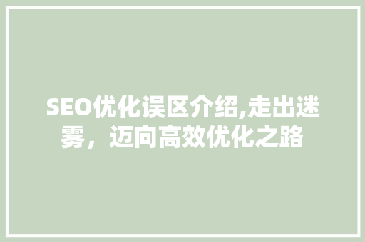 SEO优化误区介绍,走出迷雾，迈向高效优化之路