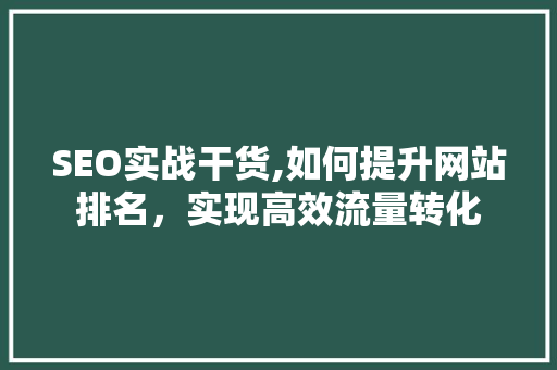 SEO实战干货,如何提升网站排名，实现高效流量转化