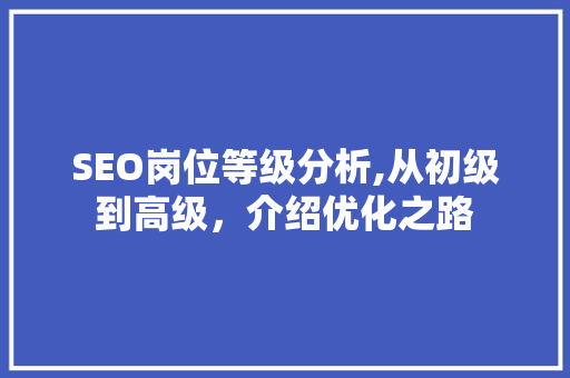 SEO岗位等级分析,从初级到高级，介绍优化之路