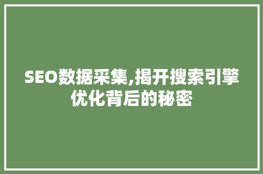 SEO数据采集,揭开搜索引擎优化背后的秘密