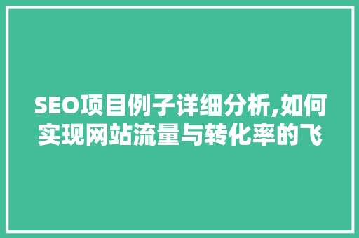 SEO项目例子详细分析,如何实现网站流量与转化率的飞跃