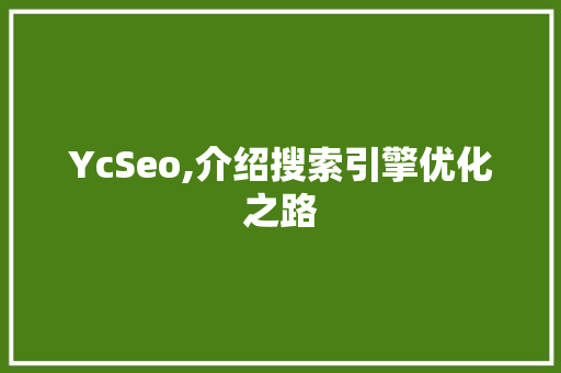 YcSeo,介绍搜索引擎优化之路