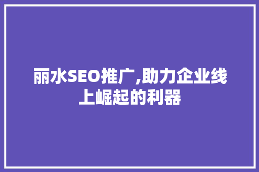 丽水SEO推广,助力企业线上崛起的利器