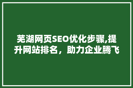 芜湖网页SEO优化步骤,提升网站排名，助力企业腾飞