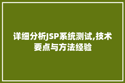 详细分析JSP系统测试,技术要点与方法经验