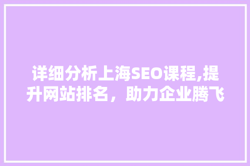详细分析上海SEO课程,提升网站排名，助力企业腾飞