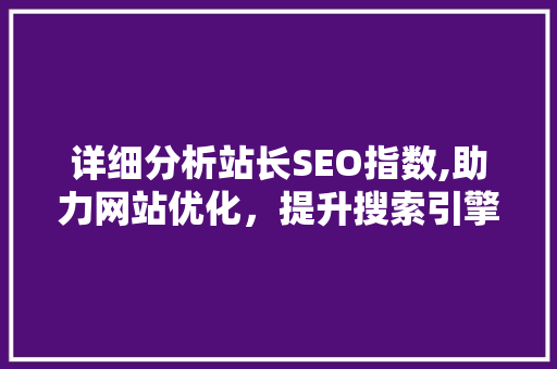 详细分析站长SEO指数,助力网站优化，提升搜索引擎排名