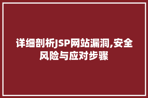 详细剖析JSP网站漏洞,安全风险与应对步骤
