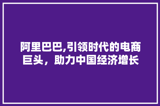 阿里巴巴,引领时代的电商巨头，助力中国经济增长