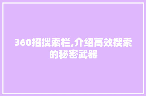 360招搜索栏,介绍高效搜索的秘密武器