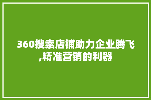 360搜索店铺助力企业腾飞,精准营销的利器