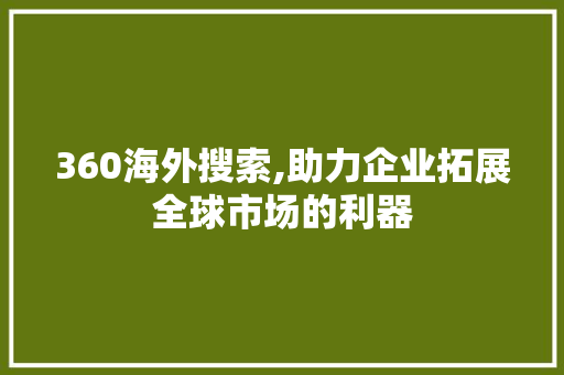 360海外搜索,助力企业拓展全球市场的利器